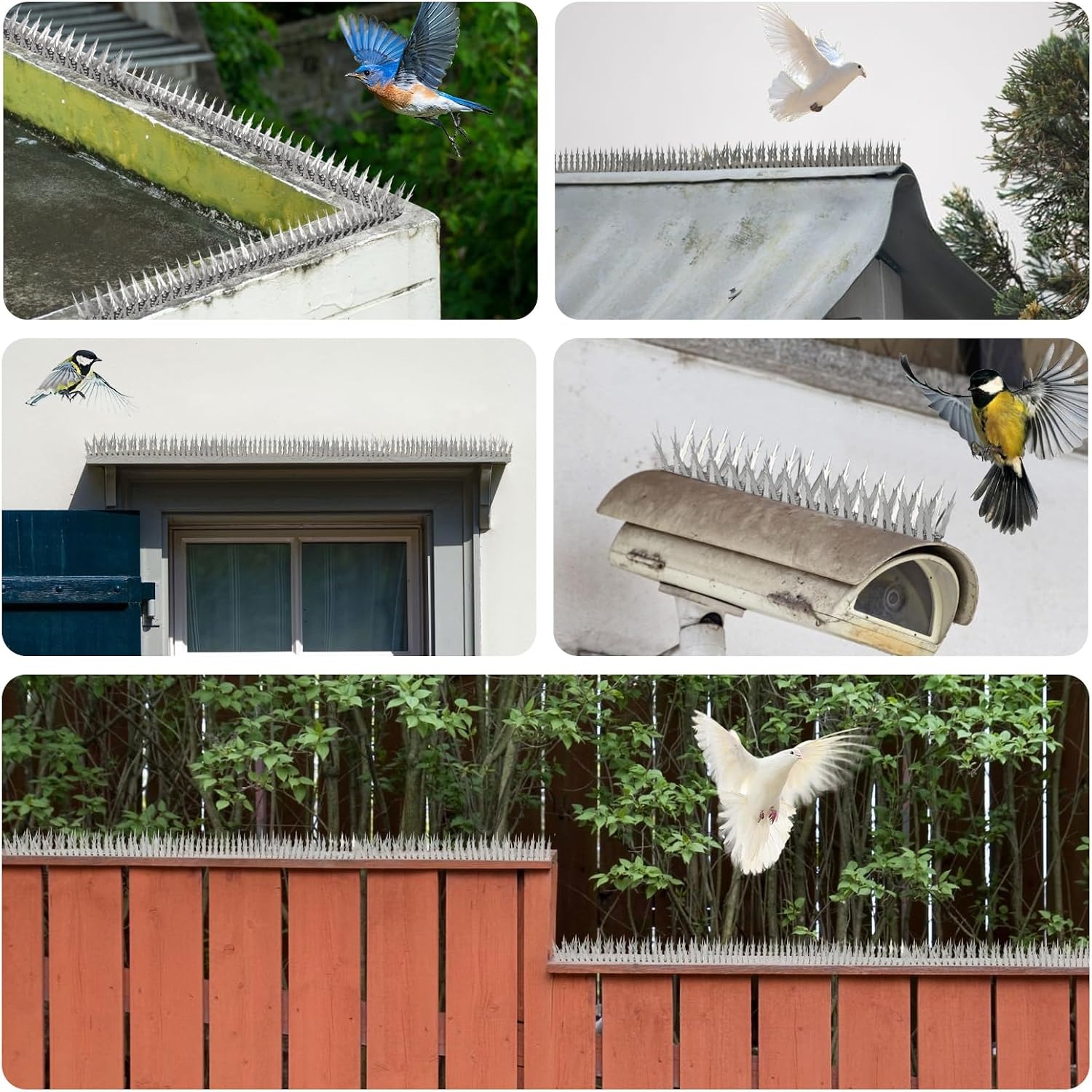 Bird Deterrent Spikes 10 ft Stainless Steel Strip Set: image 6
