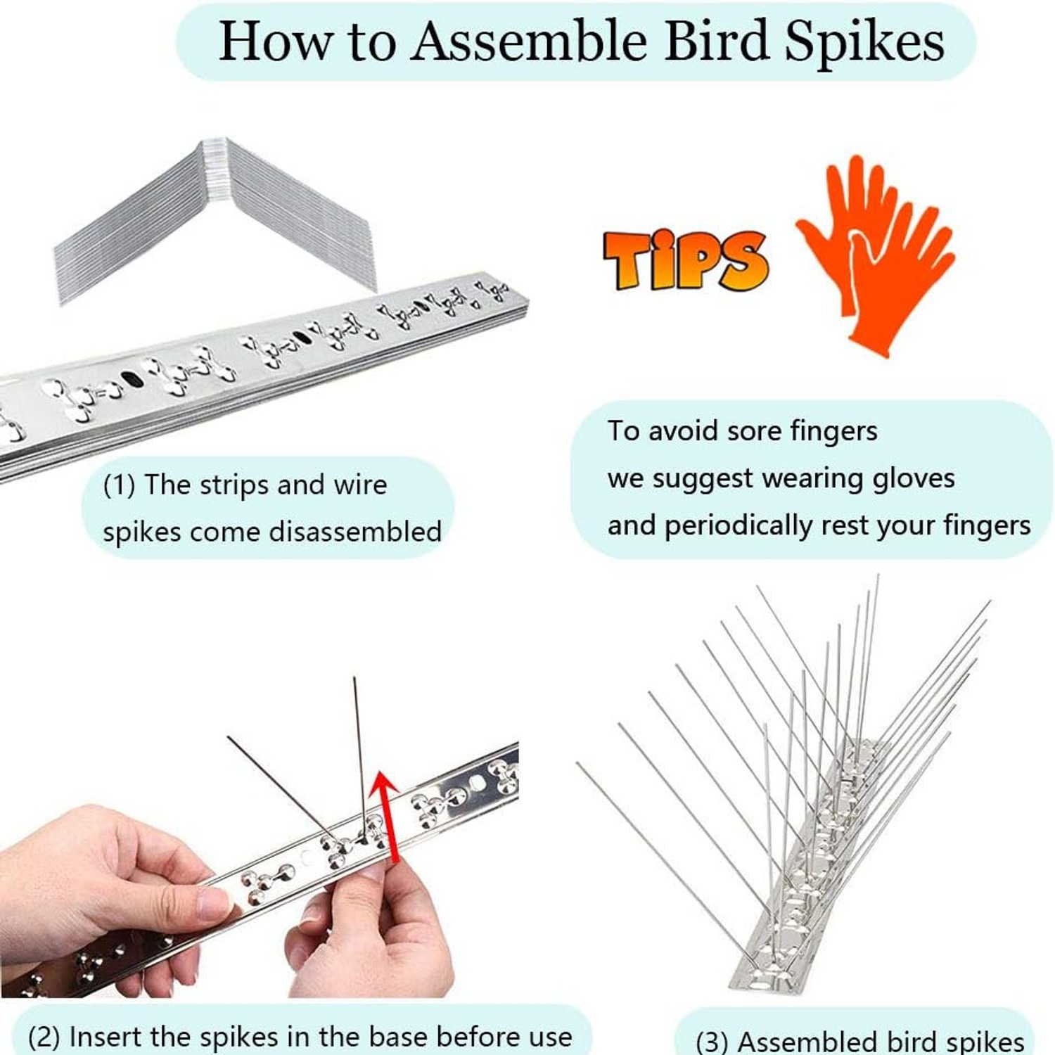 Stainless Steel Bird Spike Strips (10 ft Set): image 3
