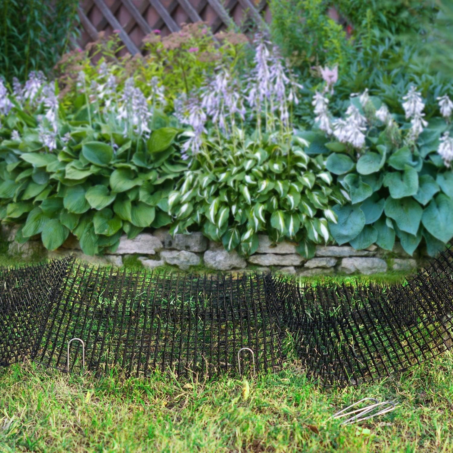 Cat Scat Mat 10 Pack with Flexible Plastic Spikes: image 4